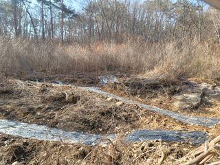박헌님의 기타작물 · 영농일지 작성글 사진