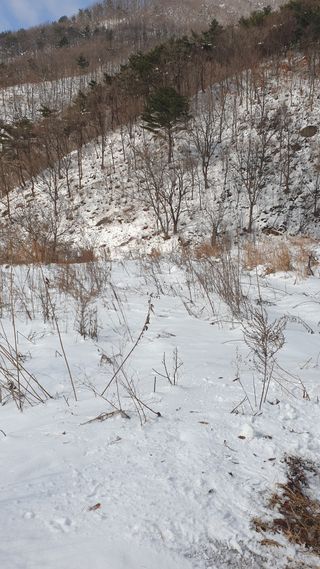 옥수동초농부님의 기타작물 · 영농일지 작성글 사진