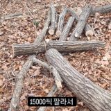 팜모닝 기타작물·영농일지 게시글 이미지