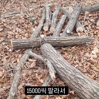 이성수님의 기타작물 · 영농일지 작성글 사진