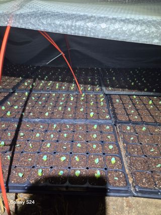 김명관 님의 기타작물 · 영농일지 작성글 사진