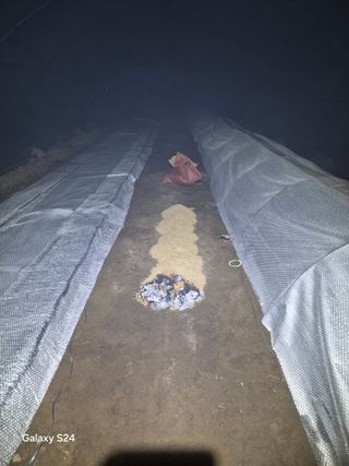 김명관 님의 기타작물 · 영농일지 작성글 사진