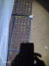 팜모닝 기타작물·영농일지 게시글 이미지