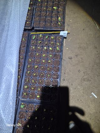 김명관 님의 기타작물 · 영농일지 작성글 사진