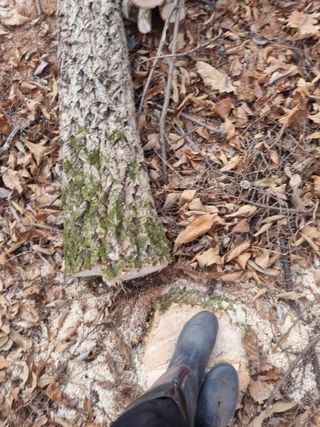 이성수님의 기타작물 · 영농일지 작성글 사진