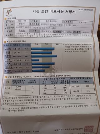 전원수님의 토마토 · 영농일지 작성글 사진