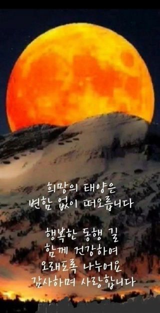 이훈정(시몬)님의 기타작물 · 영농일지 작성글 사진