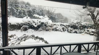 이훈정(시몬)님의 기타작물 · 영농일지 작성글 사진