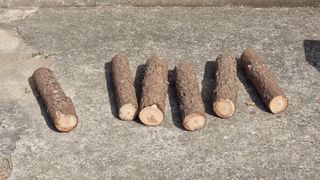 촌사리님의 기타작물 · 영농일지 작성글 사진