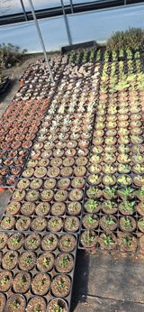 팜모닝 기타작물·영농일지 게시글 이미지