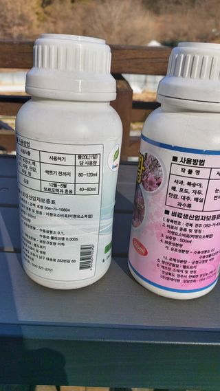 오정식님의 매실 · 영농일지 작성글 사진