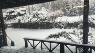 이훈정(시몬)님의 기타작물 · 영농일지 작성글 사진