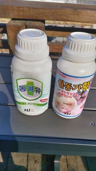 오정식님의 매실 · 영농일지 작성글 사진