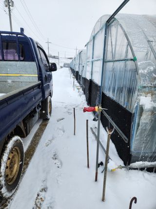 김저팔계님의 기타작물 · 영농일지 작성글 사진