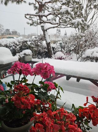 이훈정(시몬)님의 기타작물 · 영농일지 작성글 사진