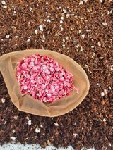 팜모닝 고추·영농일지 게시글 이미지