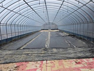 문혜농원님의 파 · 영농일지 작성글 사진