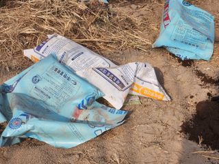 이창신님의 블루베리 · 영농일지 작성글 사진