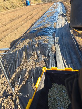 박정원님의 기타작물 · 영농일지 작성글 사진