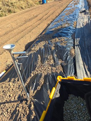 박정원님의 기타작물 · 영농일지 작성글 사진