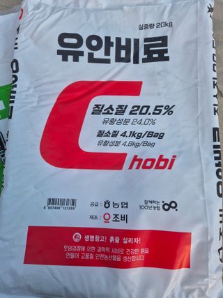 최진일님의 블루베리 · 영농일지 작성글 사진