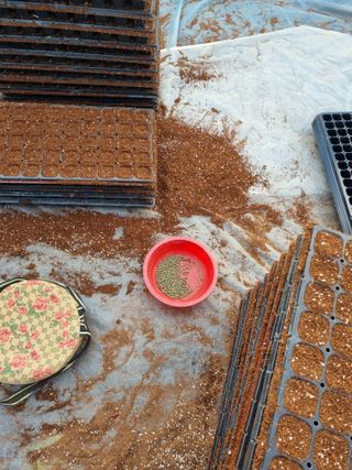 이명숙님의 기타작물 · 영농일지 작성글 사진