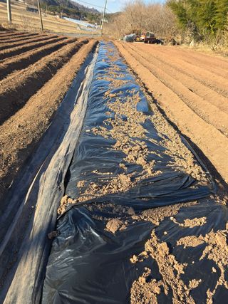 박정원님의 기타작물 · 영농일지 작성글 사진