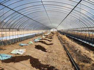 이창신님의 블루베리 · 영농일지 작성글 사진