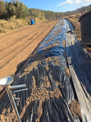 박정원님의 기타작물 · 영농일지 작성글 사진