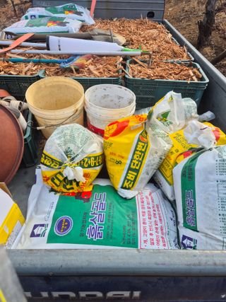 최진일님의 블루베리 · 영농일지 작성글 사진