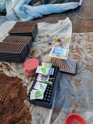 이명숙님의 기타작물 · 영농일지 작성글 사진