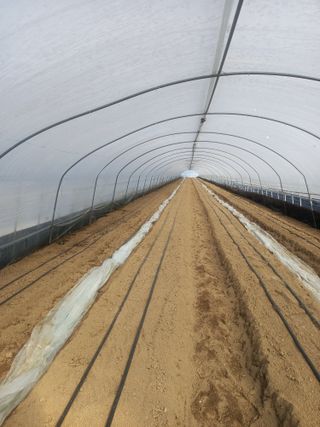 Smy1245678님의 기타작물 · 영농일지 작성글 사진