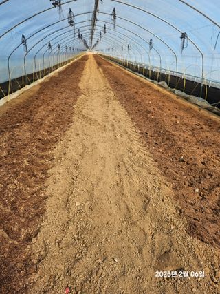 박종석님의 기타작물 · 영농일지 작성글 사진