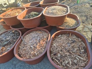 최진일님의 블루베리 · 영농일지 작성글 사진