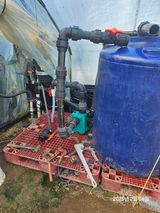 팜모닝 기타작물·영농일지 게시글 이미지