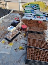 팜모닝 기타작물·영농일지 게시글 이미지