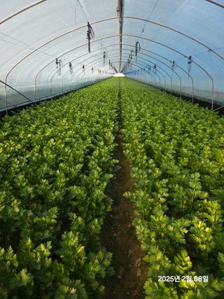 박종석님의 기타작물 · 영농일지 작성글 사진