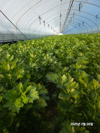 박종석님의 기타작물 · 영농일지 작성글 사진