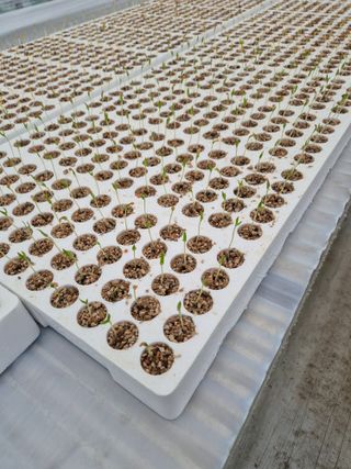 김형남님의 기타작물 · 영농일지 작성글 사진