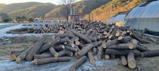 황인동님의 버섯 · 영농일지 작성글 사진