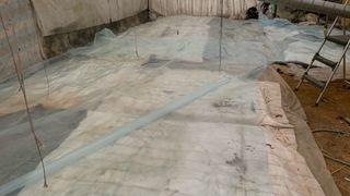 원스피릿팜님의 기타작물 · 영농일지 작성글 사진