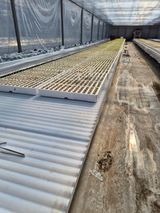 팜모닝 기타작물·영농일지 게시글 이미지