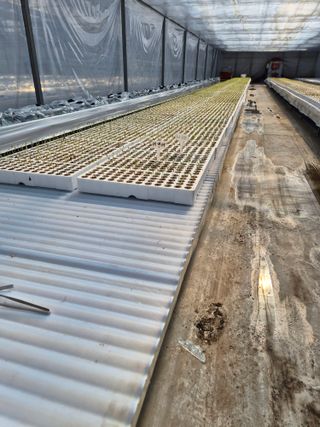 김형남님의 기타작물 · 영농일지 작성글 사진