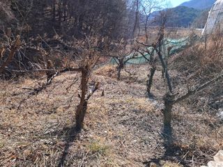 울산연안님의 기타작물 · 영농일지 작성글 사진