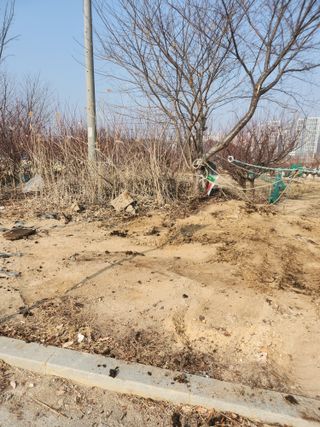 두릅나무님의 기타작물 · 영농일지 작성글 사진