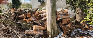 김형철님의 기타작물 · 영농일지 작성글 사진