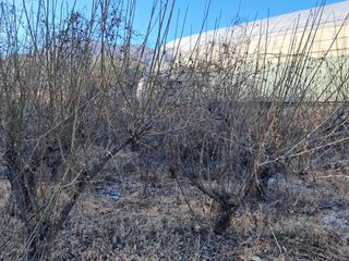 울산연안님의 기타작물 · 영농일지 작성글 사진