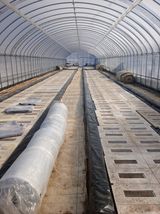 팜모닝 기타작물·영농일지 게시글 이미지