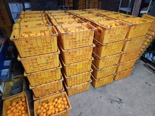 귤껍데기님의 기타작물 · 영농일지 작성글 사진