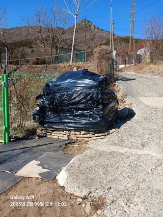 이세순님의 기타작물 · 영농일지 작성글 사진